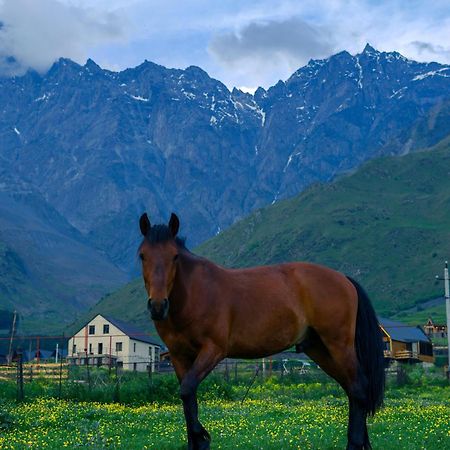 Savalley Kazbegi Zewnętrze zdjęcie