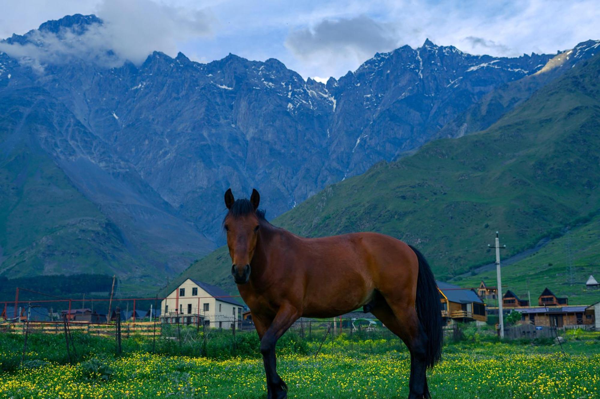 Savalley Kazbegi Zewnętrze zdjęcie